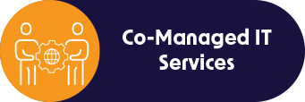 Co-Managed IT Services Co-Managed IT Services